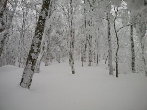 それにしても雪が深い。ここからはトレースなし