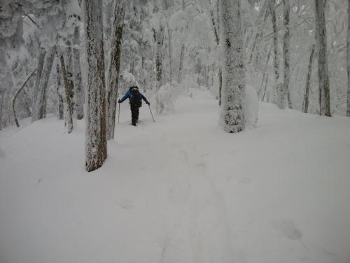 スノーシューのえのさんに先頭行ってもらうけど、わかんはかなり沈むし10歩ごとに息が切れる