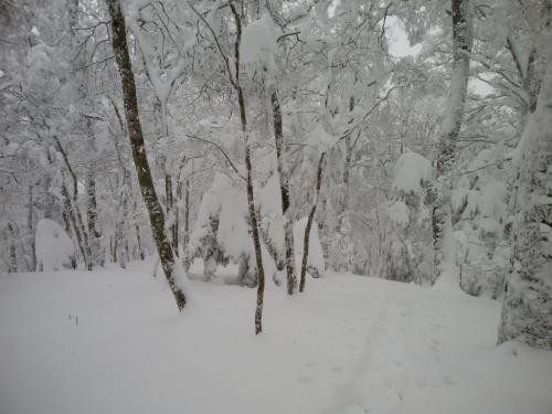 生で見たらすごい景色だけど写真だと伝わらない