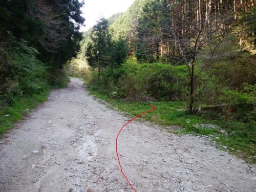 ここを右に入る