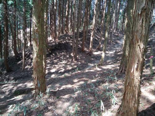 太尾塞跡方面の一般ルートに合流。急登続きだったので一旦ここで休憩をとる