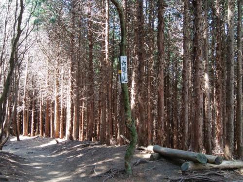 六道の辻。ここでも休憩をとる
