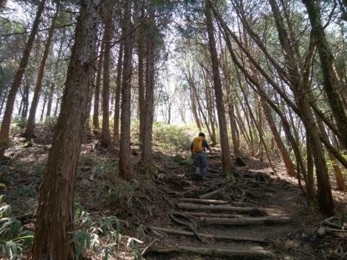 大日岳への登り