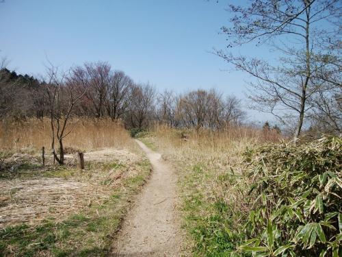 大日岳のピークはなんか開けた場所になる