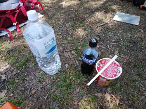 今日の昼飯。ちなみにコーラーが飲みたくて売店で買ったけど山プライスだった