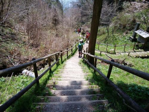 千早本道で下ります