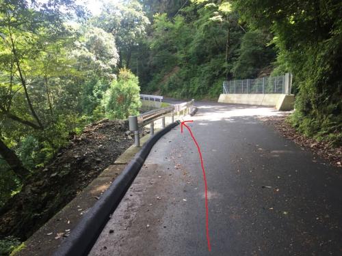 ここのガードレールの切れ目のところから入っていきます