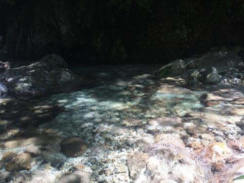 さあ今年もきましたよ！！