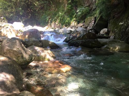 素晴らしく綺麗な沢