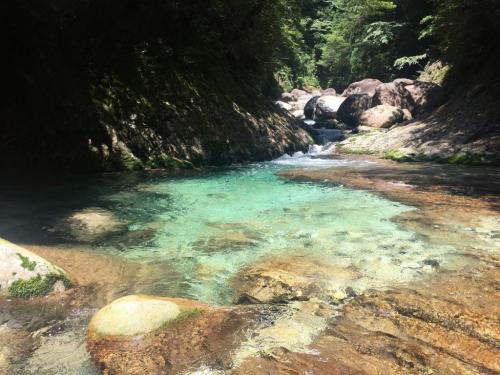 毎年綺麗ですな。ずっとこのままの透明度であっていてほしい