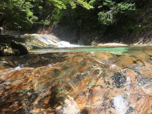 ナメナメですな