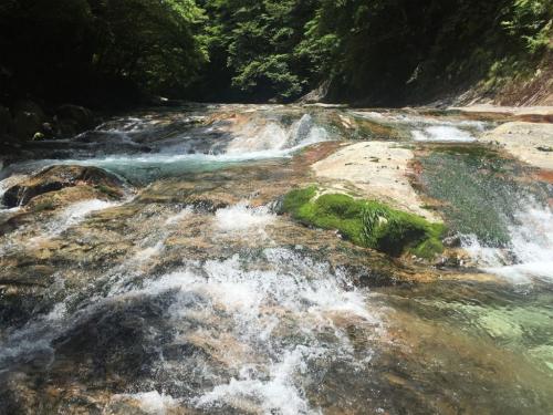 ナメは最後に遊びましょ～