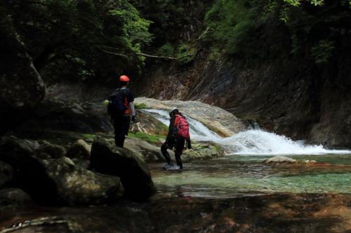 ここからは頂いた画像です