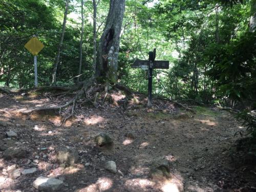 この奥に進みます