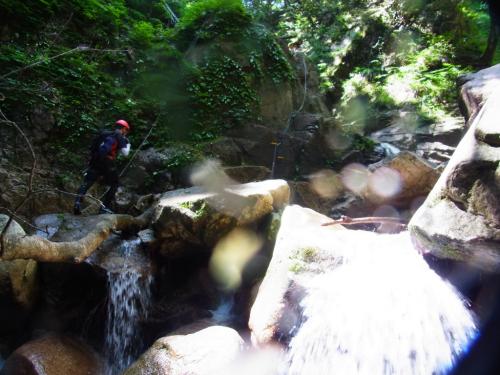 じゃんじゃん進みます