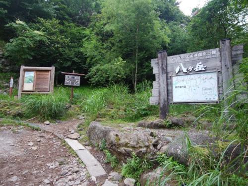 南沢をいきます