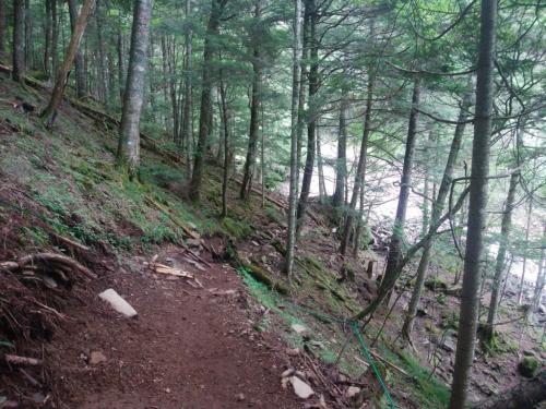 ちょい登らせよる