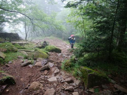 ガスガスだなぁ