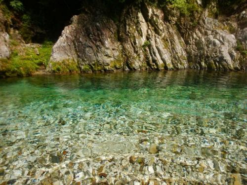 これも写真では緑だけど陽に照らされるとブルーだった