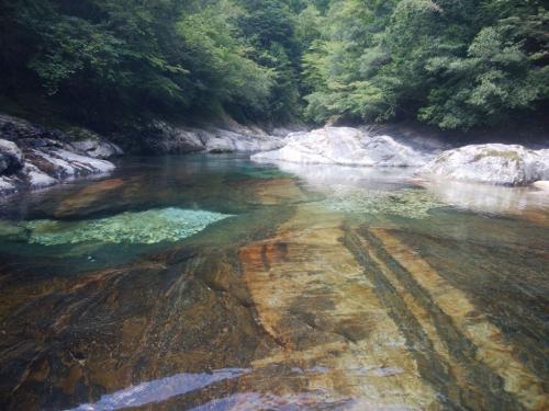 さて消化不足なので戻ります