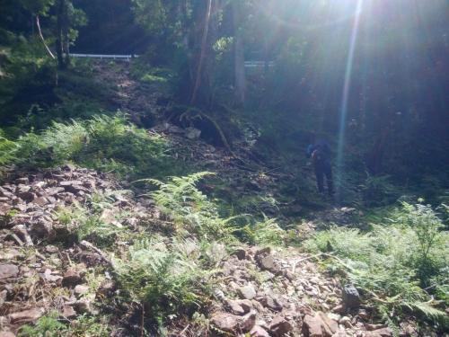 戻りました～消化不足だけど今日もお疲れさまでした