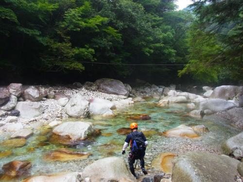 ここからはいただいた画像です