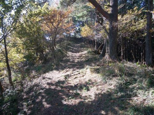 こういう感じの道が続く