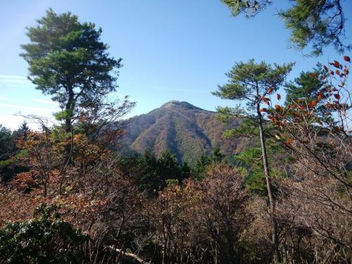 途中、これから向かう千ヶ峰のピークが見える場所があった。