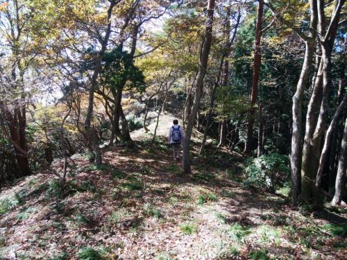 なだらかな稜線が続く