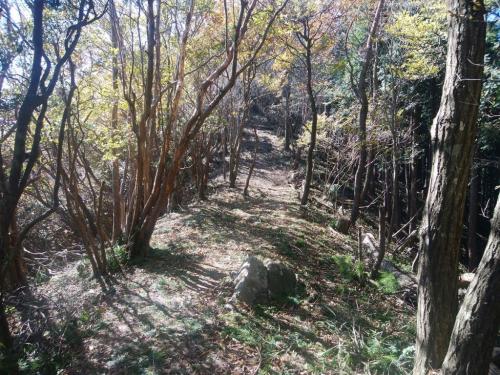 少し登り気味になってくる