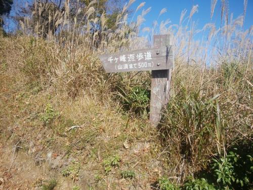 あと500m地点。ここからが階段続きとなる