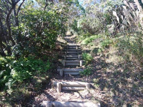 山頂直下はちょい息が切れるような階段