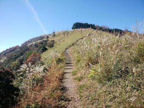 開けた場所に出た。なかなかいい感じの道。秋っぽくススキの穂がゆらぐ