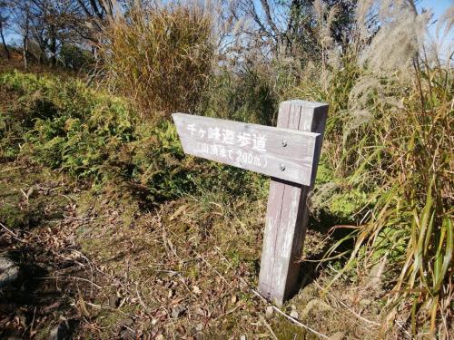 頂上まであと200m