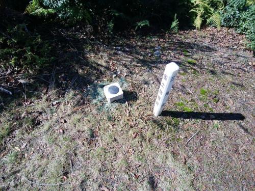 下山時、途中に三角点があった。847.7mのやつかな！？