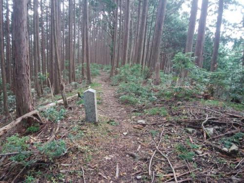 なだらかな尾根道が続くと同時に丁石があった。これ一体どこまで続くんだろうか