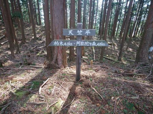 天竺平に到着。ここまで約1時間くらい