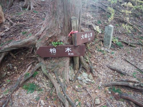 これ距離が書いてないねえ