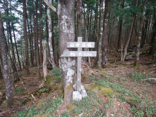 伯母谷覗に到着しました