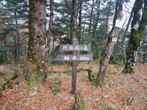 奥駈道に出たところで、阿弥陀ヶ森に到着