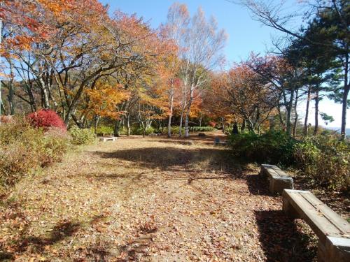 少し登ったところに広場がありベンチがある。すっかり秋景色ですな
