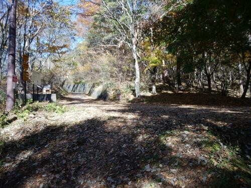 一旦道路に出る。ここを右側へ横断する
