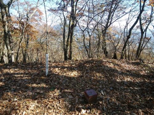 霜山の頂上に到着