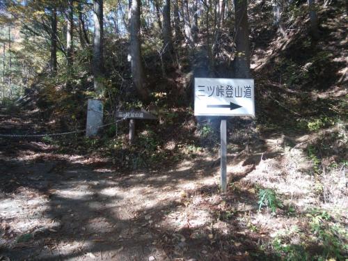 登山口まで下山しました