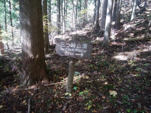 3.0kmなんですね