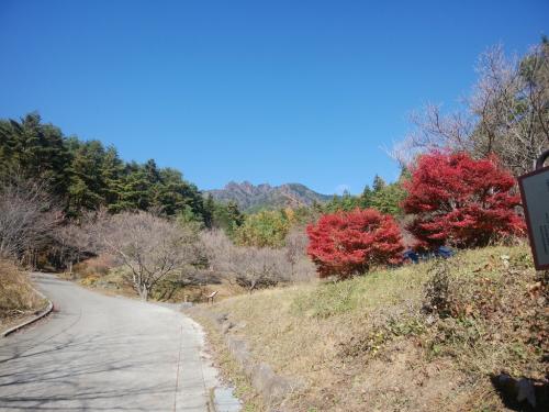 林道から振り返ると三ツ峠山が見えた。さようなら～