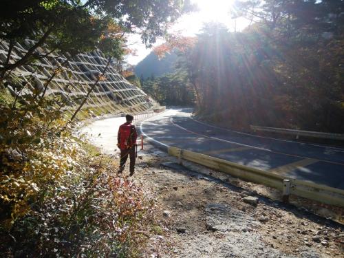 道路までくだりましたよ～