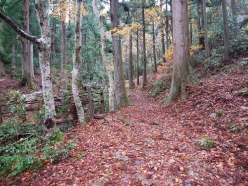最初はこんな道