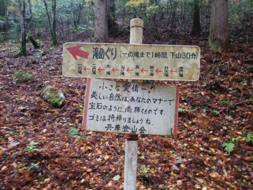 この滝全部見れるかなぁ！？