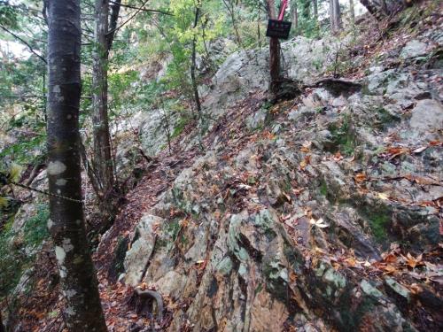 滑りやすい岩場だった